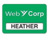 Reusable Smooth Plastic Windowed Name Tag: Kelley Green with White - LM922-932