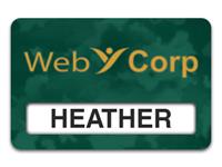 Reusable Smooth Plastic Windowed Name Tag: Verde with Gold - LM922-937