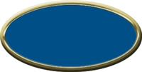 Blank Oval Plastic Gold Nametag with Sky Blue