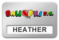 Windowed Metal Name Tag: Silver