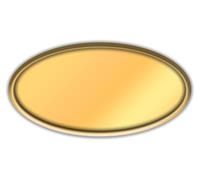 Gold Plastic Oval Name Tag Frames