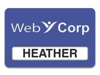 Reusable Smooth Plastic Windowed Name Tag: Purple with White - LM922-582