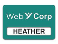 Reusable Smooth Plastic Windowed Name Tag: Celadon Green with White - LM922-972
