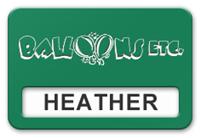 Reusable Smooth Plastic Windowed Name Tag: Kelley Green with White - LM922-932
