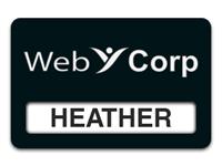 Reusable Smooth Plastic Windowed Name Tag: Black with White - LM922-402