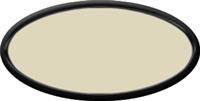 Blank Oval Plastic Black Nametag with Almond and Black