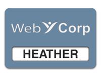 Reusable Smooth Plastic Windowed Name Tag: China Blue with White - LM922-382