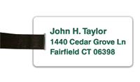 Smooth Plastic Name Tag: White with Green - LM922-209