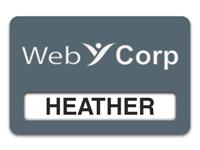 Reusable Smooth Plastic Windowed Name Tag: Smoke Grey with White - LM922-312