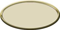 Blank Oval Plastic Gold Nametag with Almond