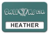 Reusable Smooth Plastic Windowed Name Tag: Celadon Green with White - LM922-972