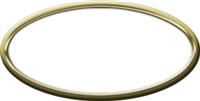 Blank Oval Plastic Gold Nametag with White