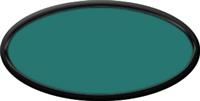 Blank Oval Plastic Black Nametag with Celadon Green
