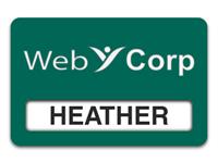 Reusable Smooth Plastic Windowed Name Tag: Evergreen with White - LM922-912