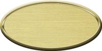 Blank Oval Plastic Gold Nametag with Euro Gold