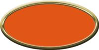 Blank Oval Plastic Gold Nametag with Tangerine