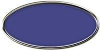 Blank Silver Oval Framed Nametag with Purple