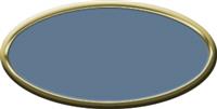 Blank Oval Plastic Gold Nametag with China Blue
