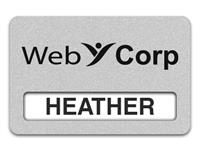 Reusable Smooth Plastic Windowed Name Tag: Smooth Silver with Black - LM922-344
