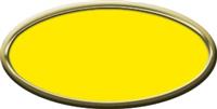 Blank Oval Plastic Gold Nametag with Canary Yellow