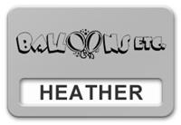 Reusable Smooth Plastic Windowed Name Tag: Smooth Silver with Black - LM922-344