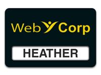 Reusable Smooth Plastic Windowed Name Tag: Black with Yellow - LM922-407