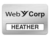 Reusable Smooth Plastic Windowed Name Tag: Shiny Silver with Black - LM922-334
