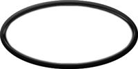 Blank Oval Plastic Black Nametag with White