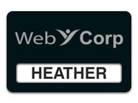 Reusable Smooth Plastic Windowed Name Tag: Black with Silver - LM922-413