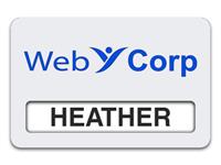 Reusable Smooth Plastic Windowed Name Tag: White with Sky Blue - LM922-205