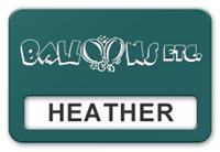 Reusable Smooth Plastic Windowed Name Tag: Evergreen with White - LM922-912