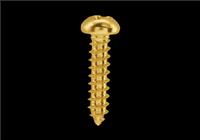 100 Gold 3/8" Phillips Screws
