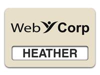 Reusable Smooth Plastic Windowed Name Tag: Almond with Black - LM922-854