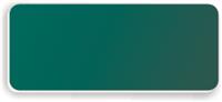 Blank Smooth Plastic Name Tag: Evergreen and White - LM 922-912