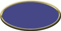 Blank Oval Plastic Black Nametag with Purple
